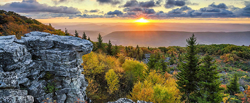 Dolly Sods