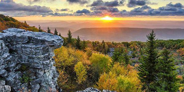 Dolly Sods